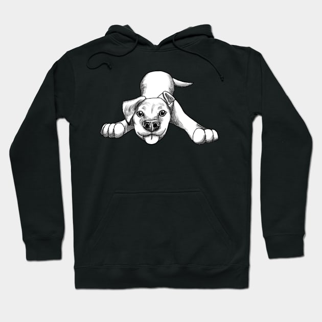 Puppy Play Hoodie by Luv Dogs